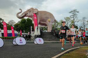 BIB: 
                            <button type="button" onclick="openModal(26528542)" class="btn btn-primary btn-sm float-right btn-popup" data-toggle="modal" data-target=".modal-high-quality">
                        <i class="fas fa-shopping-cart"></i> Add to Cart
                    </button>
                                            <button type="button" onclick="isThisMe(26528542, true)" class="btn btn-success btn-sm float-right btn-popup btn-isme hidden" data-toggle="tooltip" data-placement="bottom" title="นี่คือรูปของคุณใช่ไหม คลิกที่นี่เพื่อเอาเข้าอัลบั้ม">
                        <i class="fas fa-plus"></i> Add to album
                    </button>
                    <button type="button" onclick="isThisMe(26528542, false)" class="btn btn-warning btn-sm float-right btn-popup btn-isnotme hidden">
                        <i class="fas fa-ban"></i> Remove from album
                    </button>